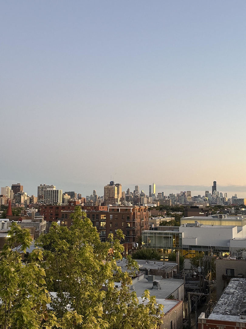 3740 N Halsted Street Unit: 914