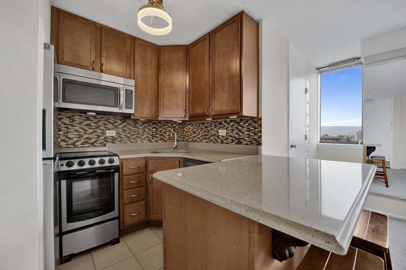 3110 N Sheridan Road Unit: 1607
