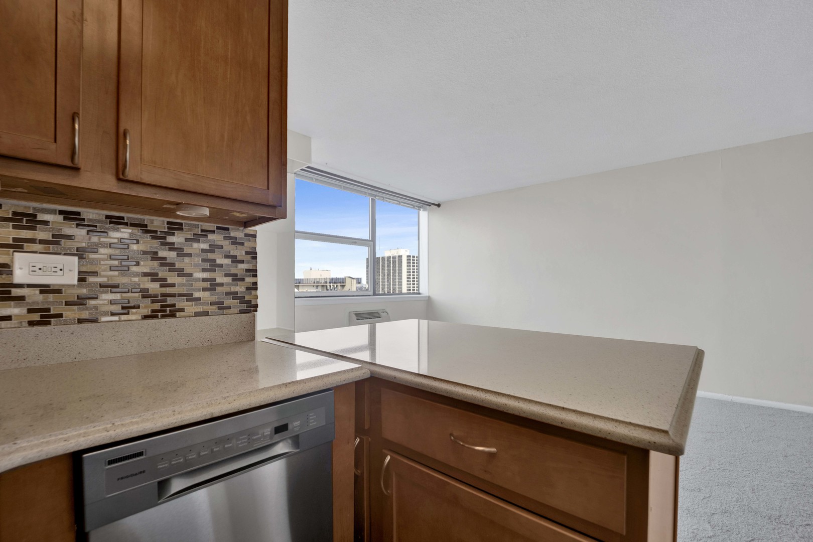3110 N Sheridan Road Unit: 1607