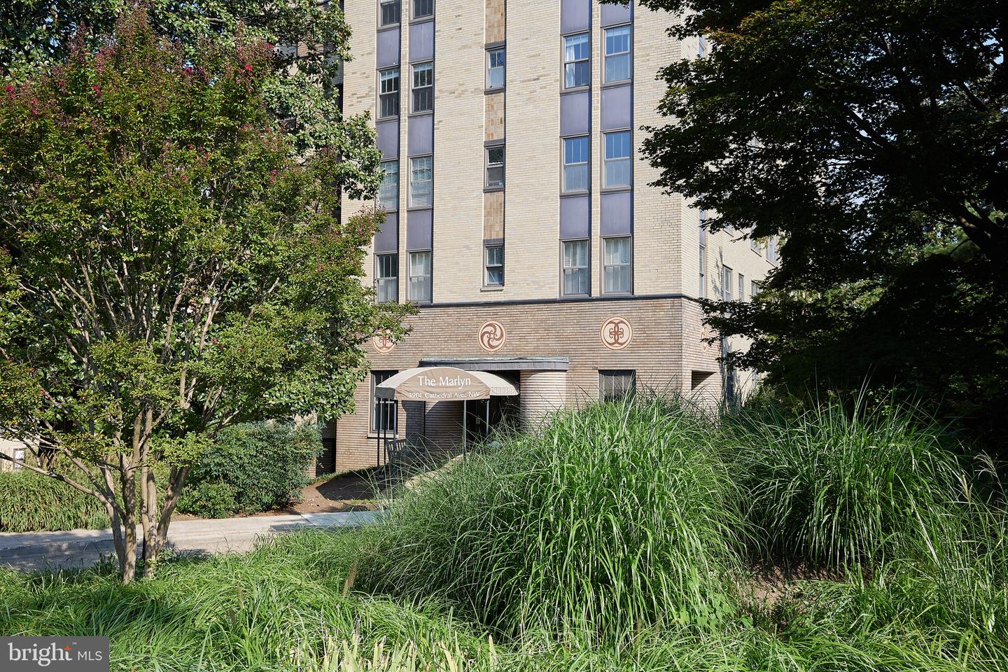3901 Cathedral Ave NW #117