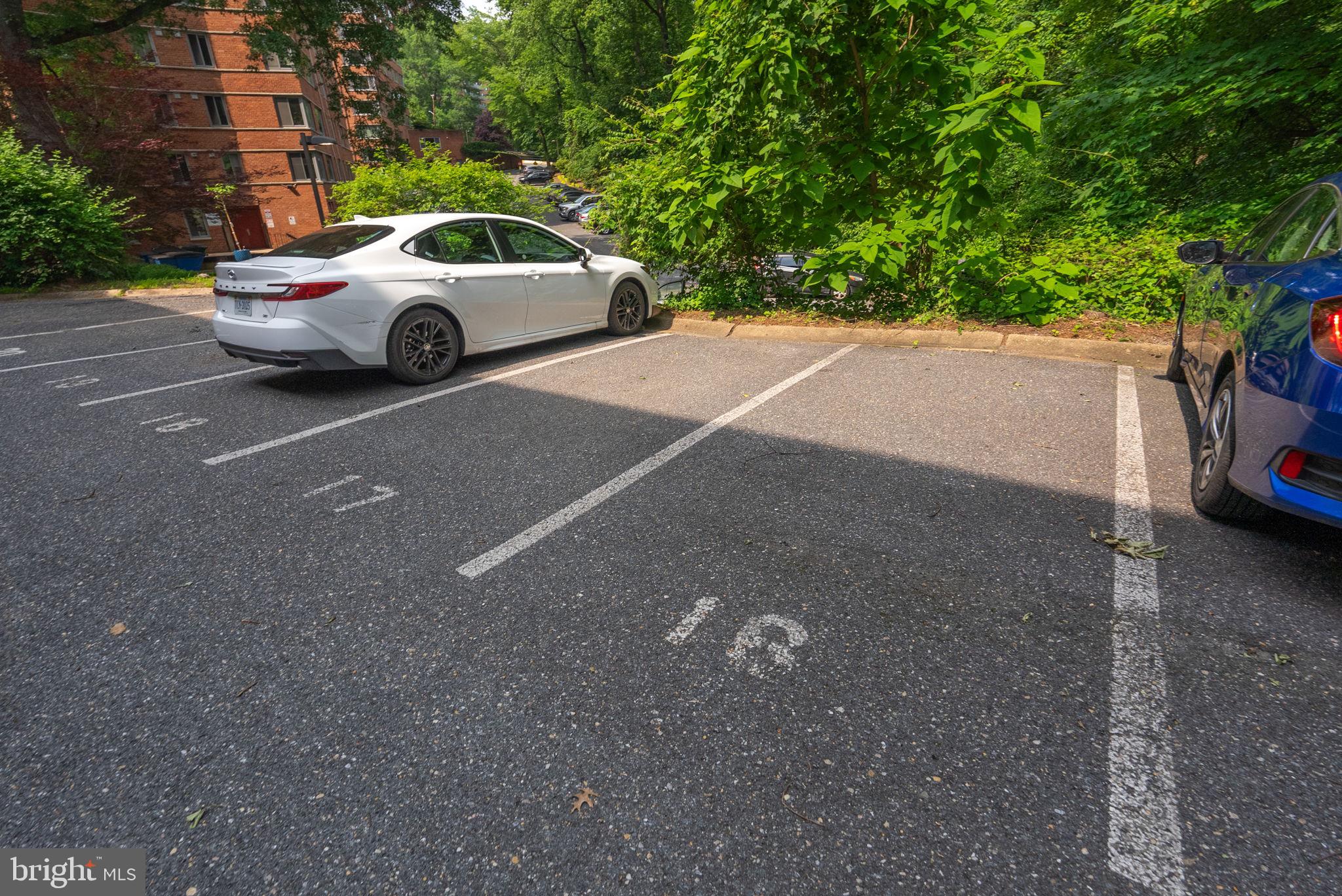 3033 New Mexico Ave NW #305