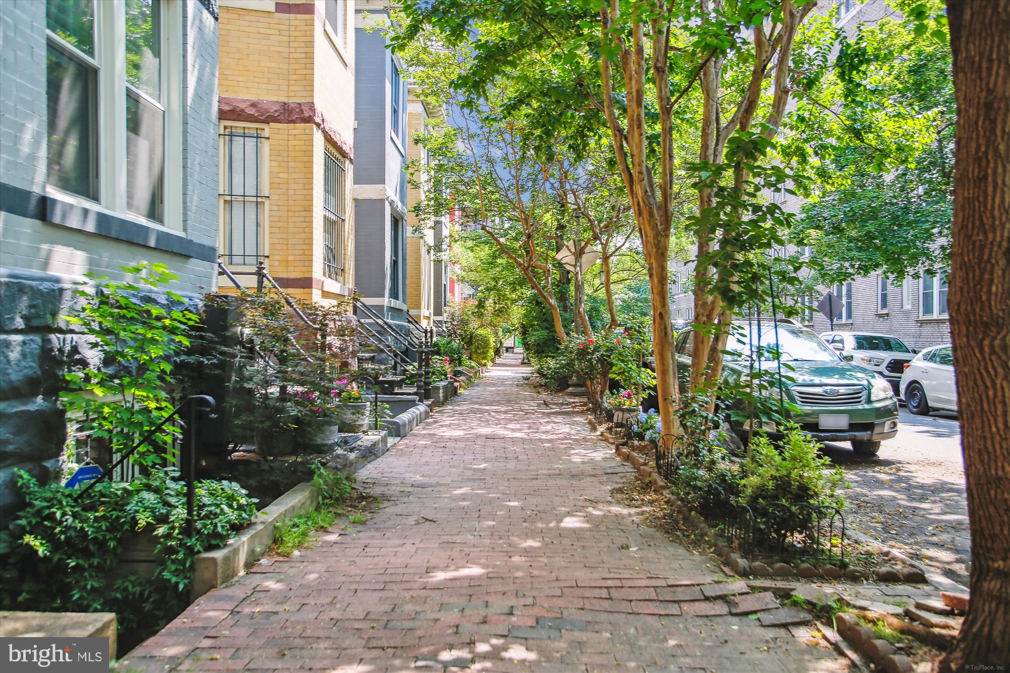 1725 Willard St NW #3