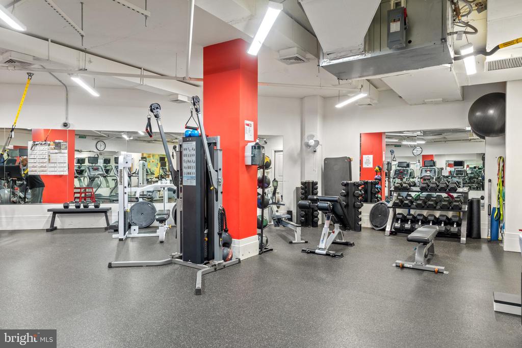 2425 L STREET NW 509