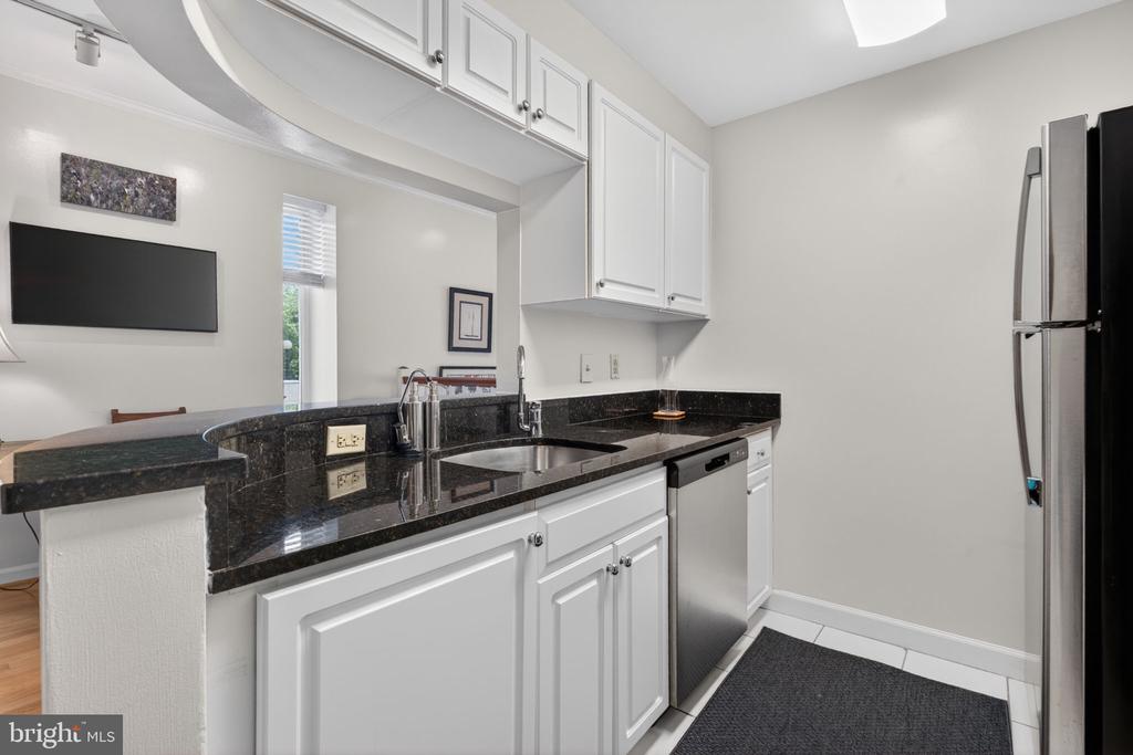 1619 R STREET NW 101