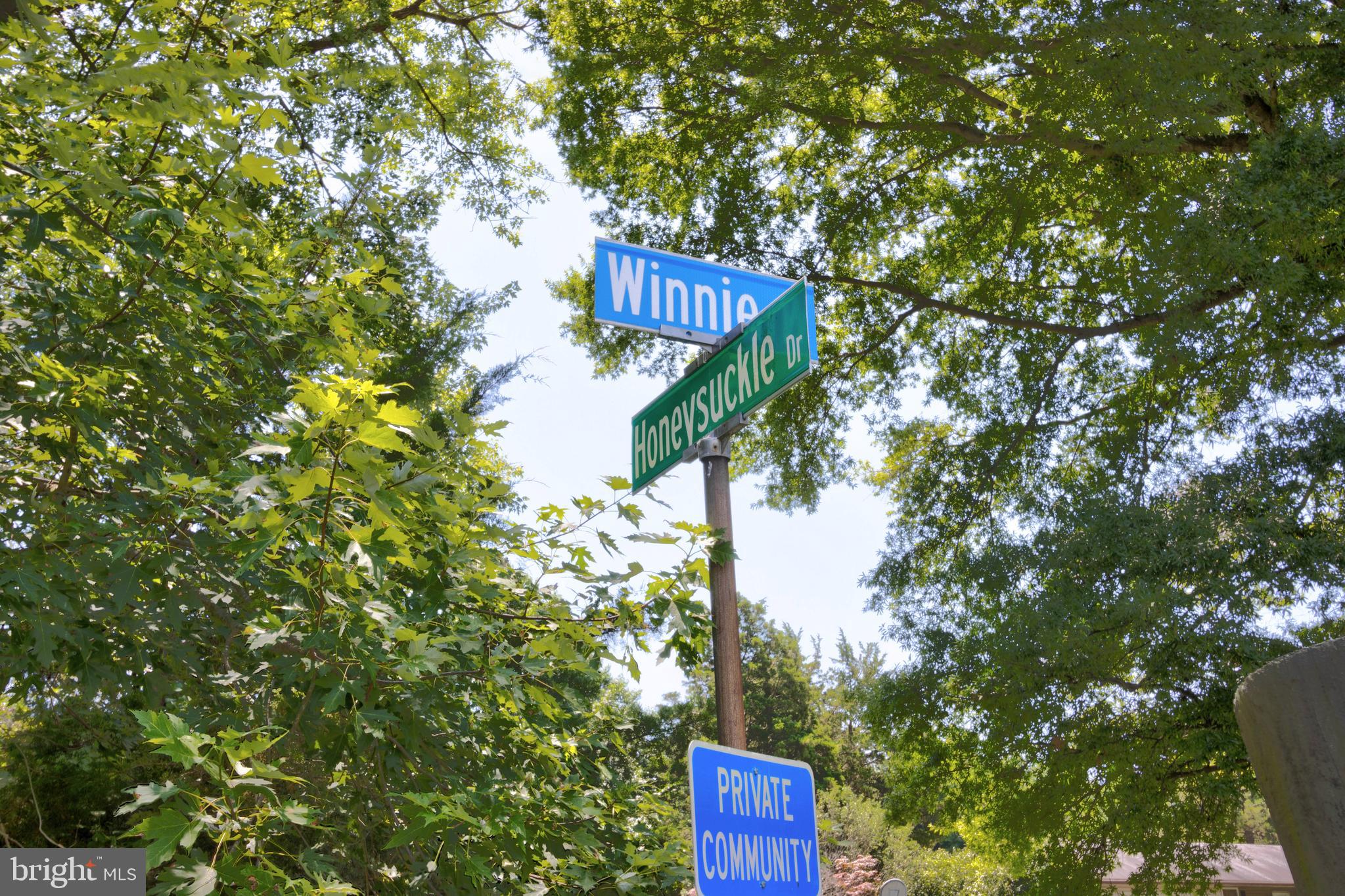 1428 Winnie Place