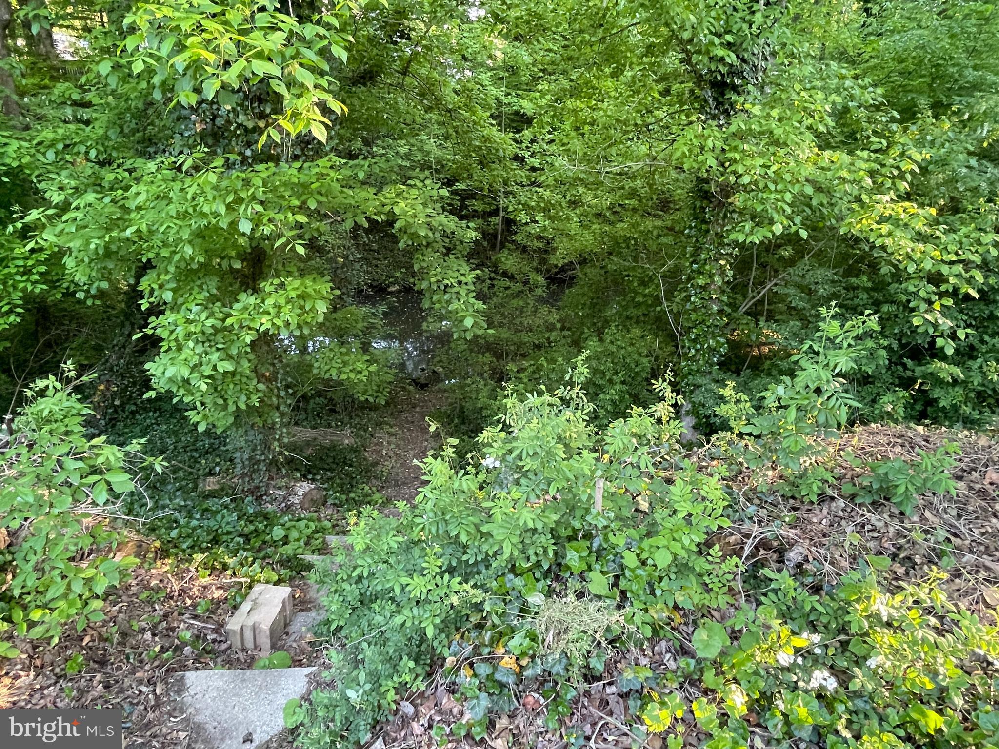 1716 Waldorf Ct