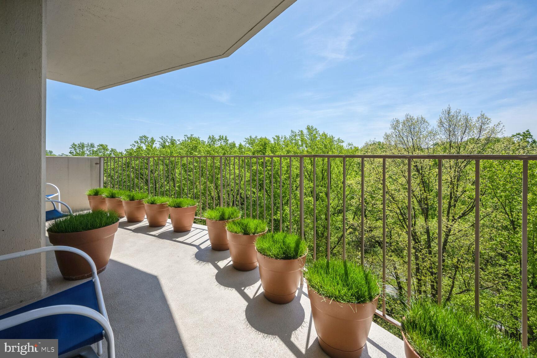 9039 Sligo Creek #906