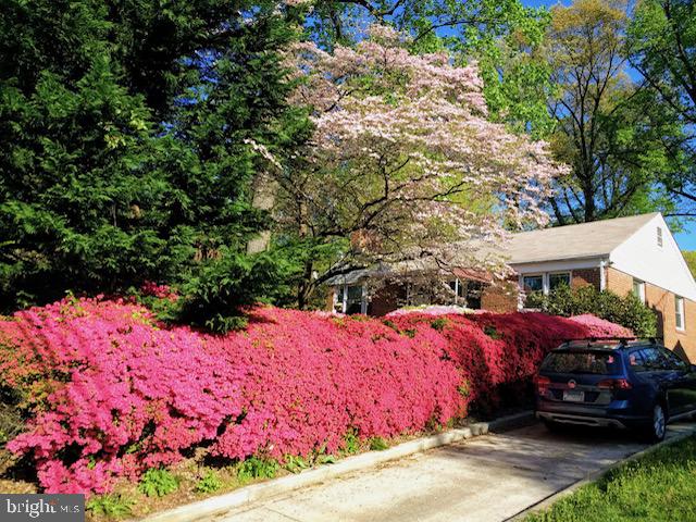 3003 Plyers Mill Rd
