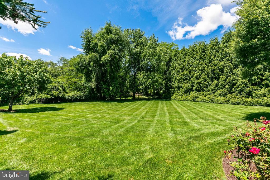 20324 Wiley Ct