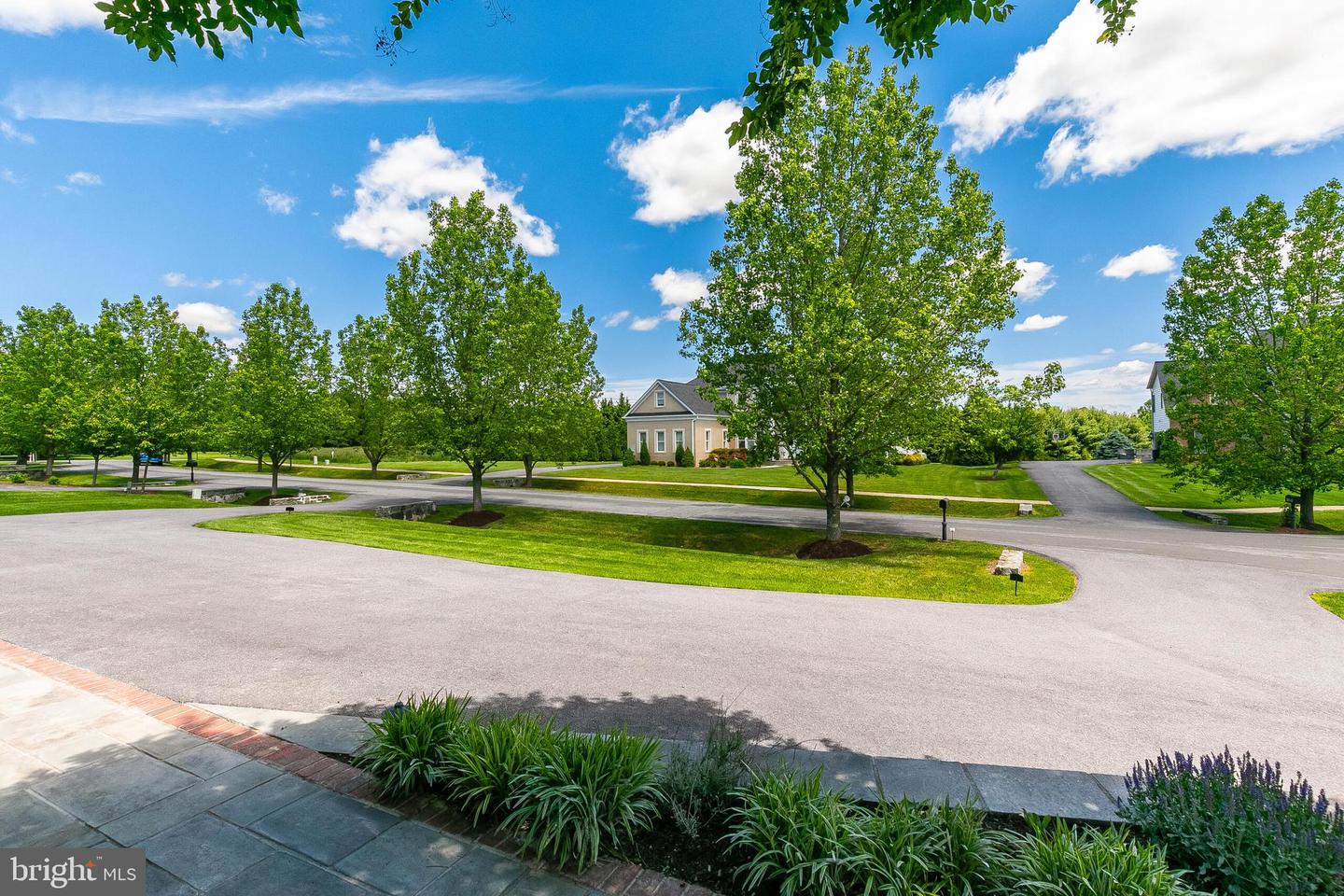 20324 Wiley Ct
