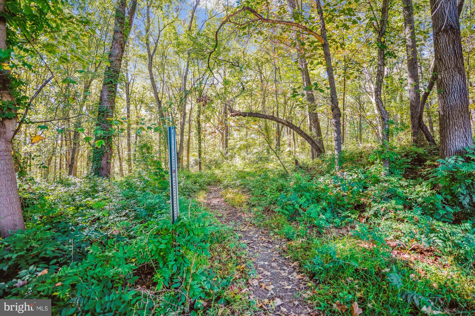 210 BURNT MILLS AVENUE