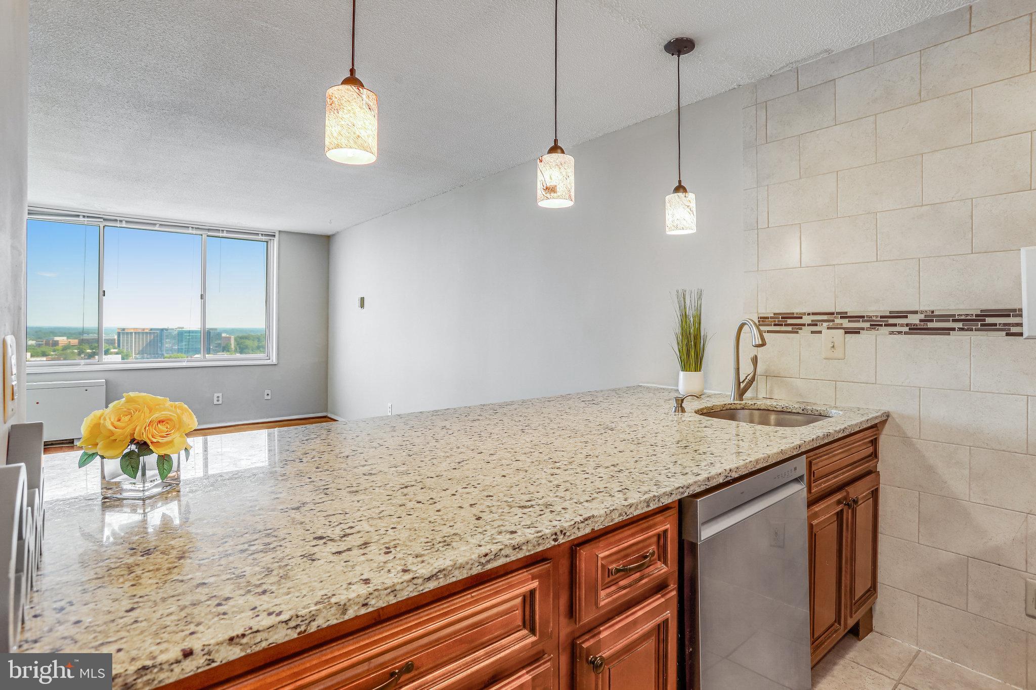 11801 ROCKVILLE PIKE #PH15