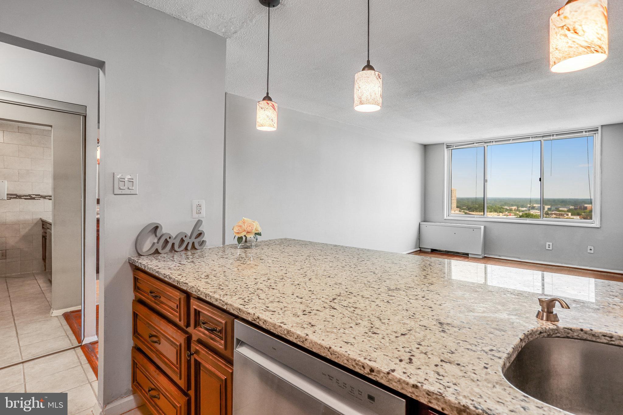 11801 ROCKVILLE PIKE #PH15