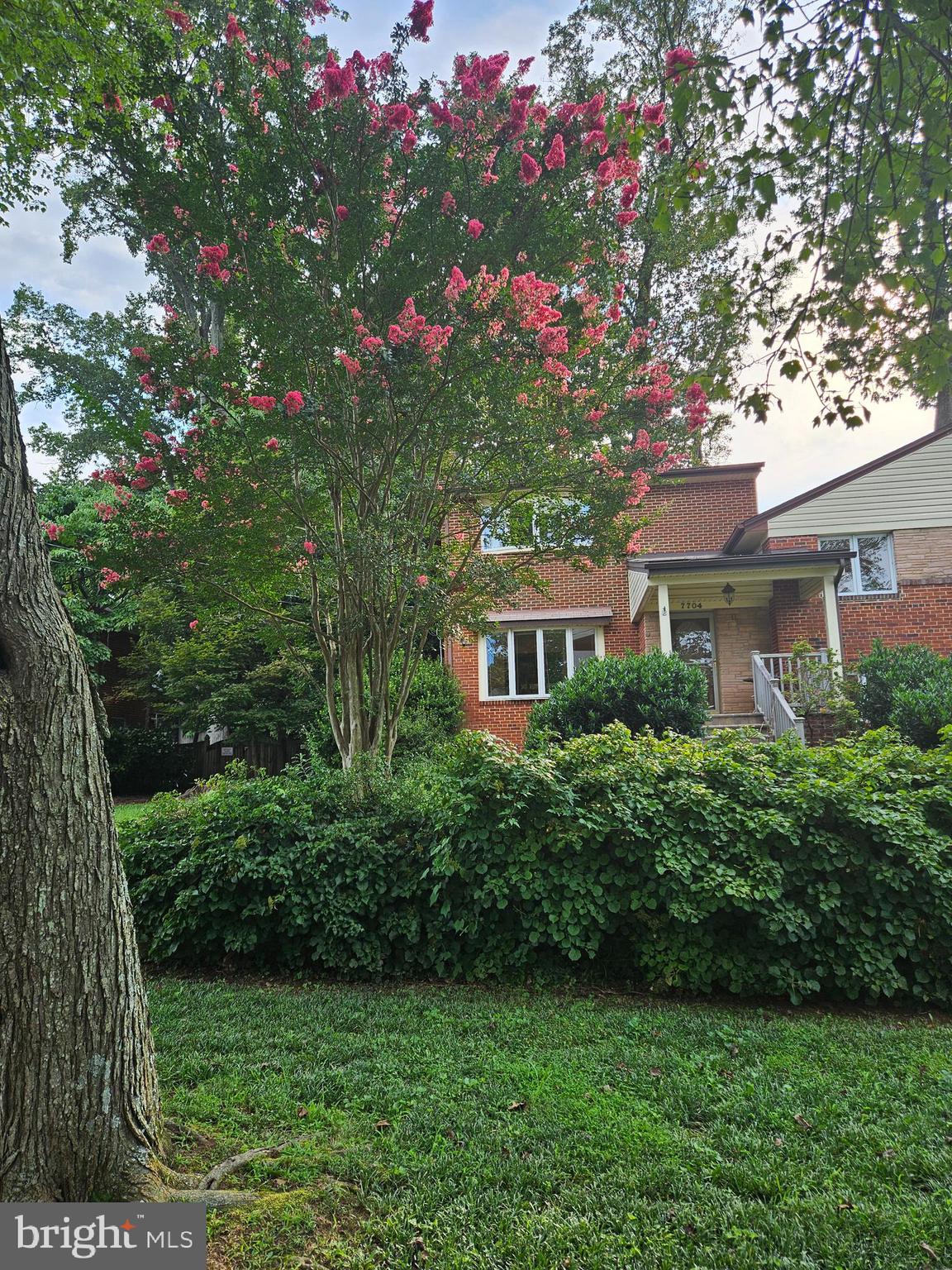 7704 GERANIUM STREET