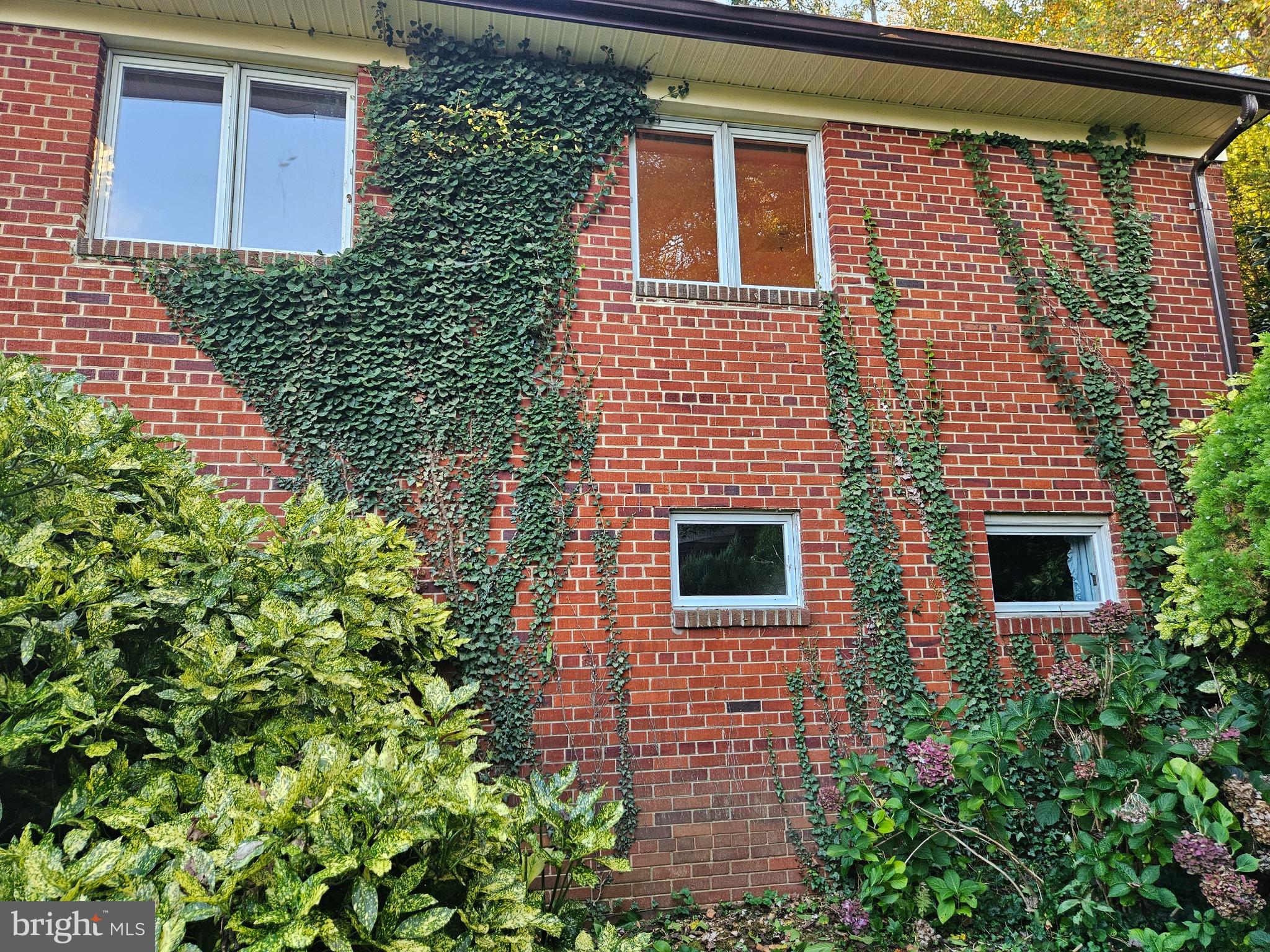 7704 GERANIUM STREET