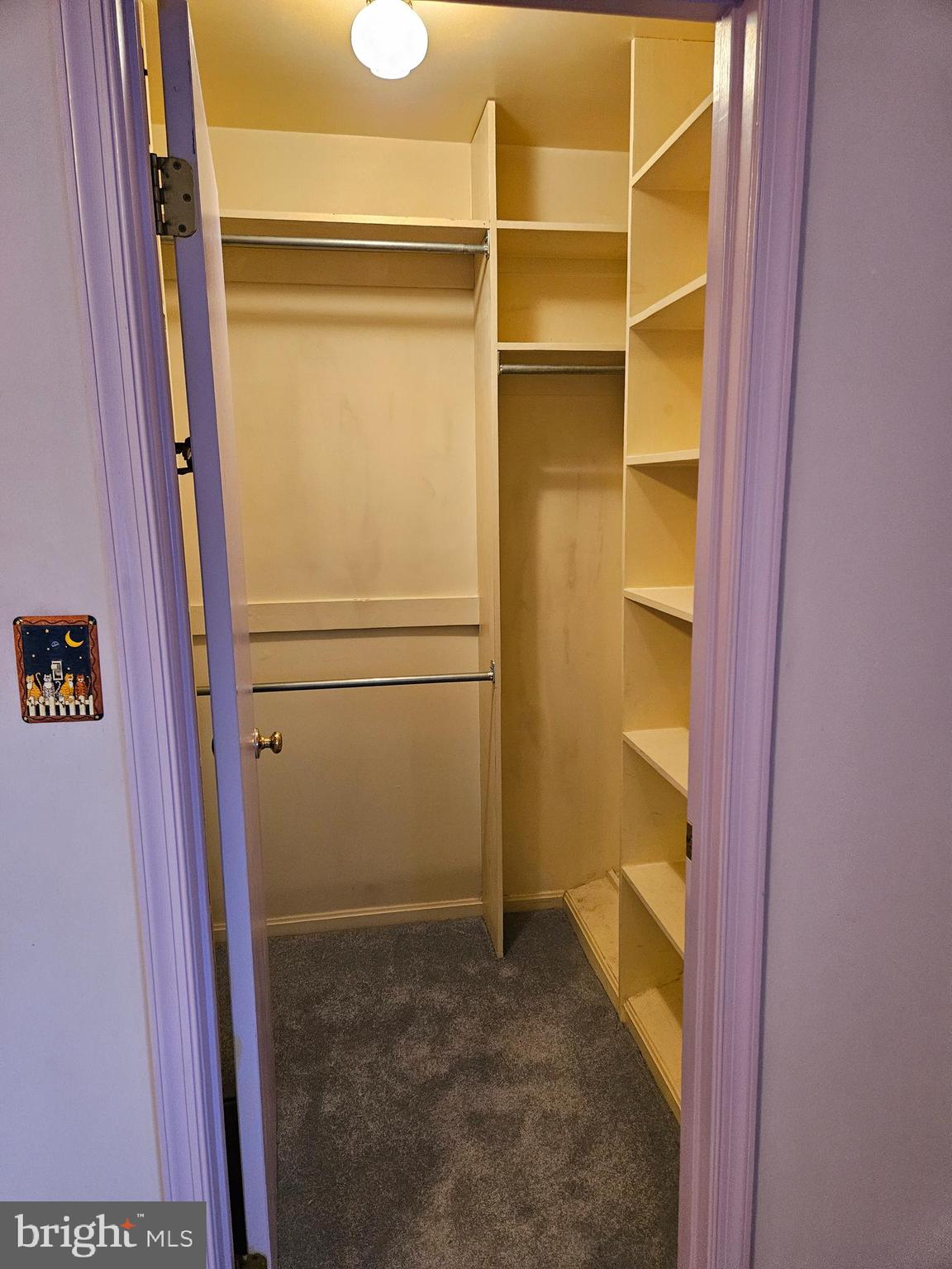 7704 GERANIUM STREET