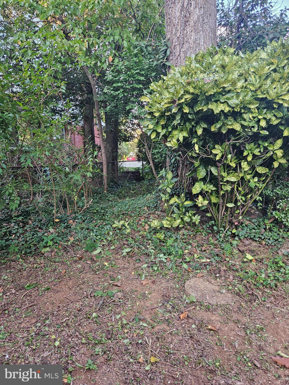 7704 GERANIUM STREET