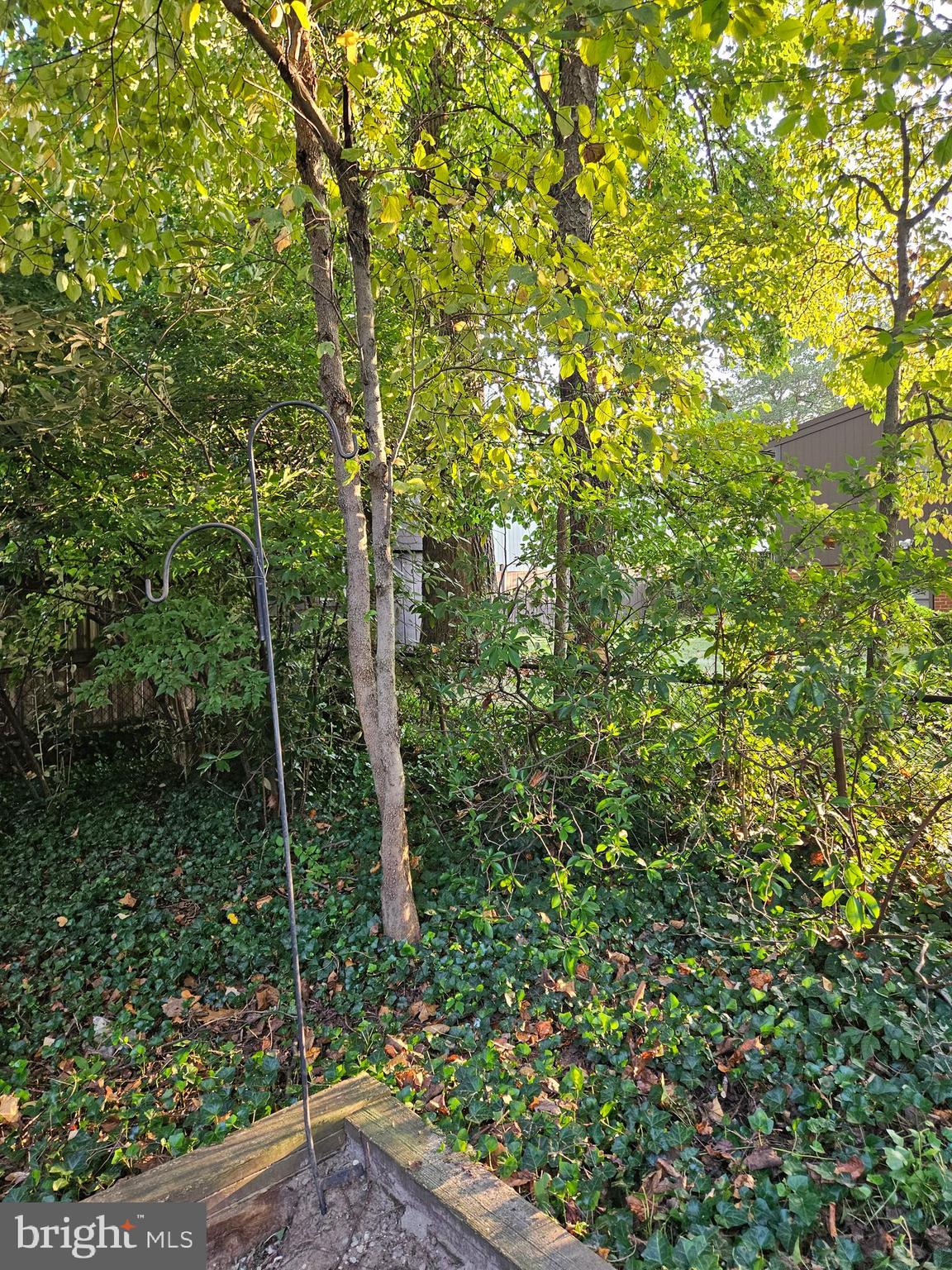 7704 GERANIUM STREET