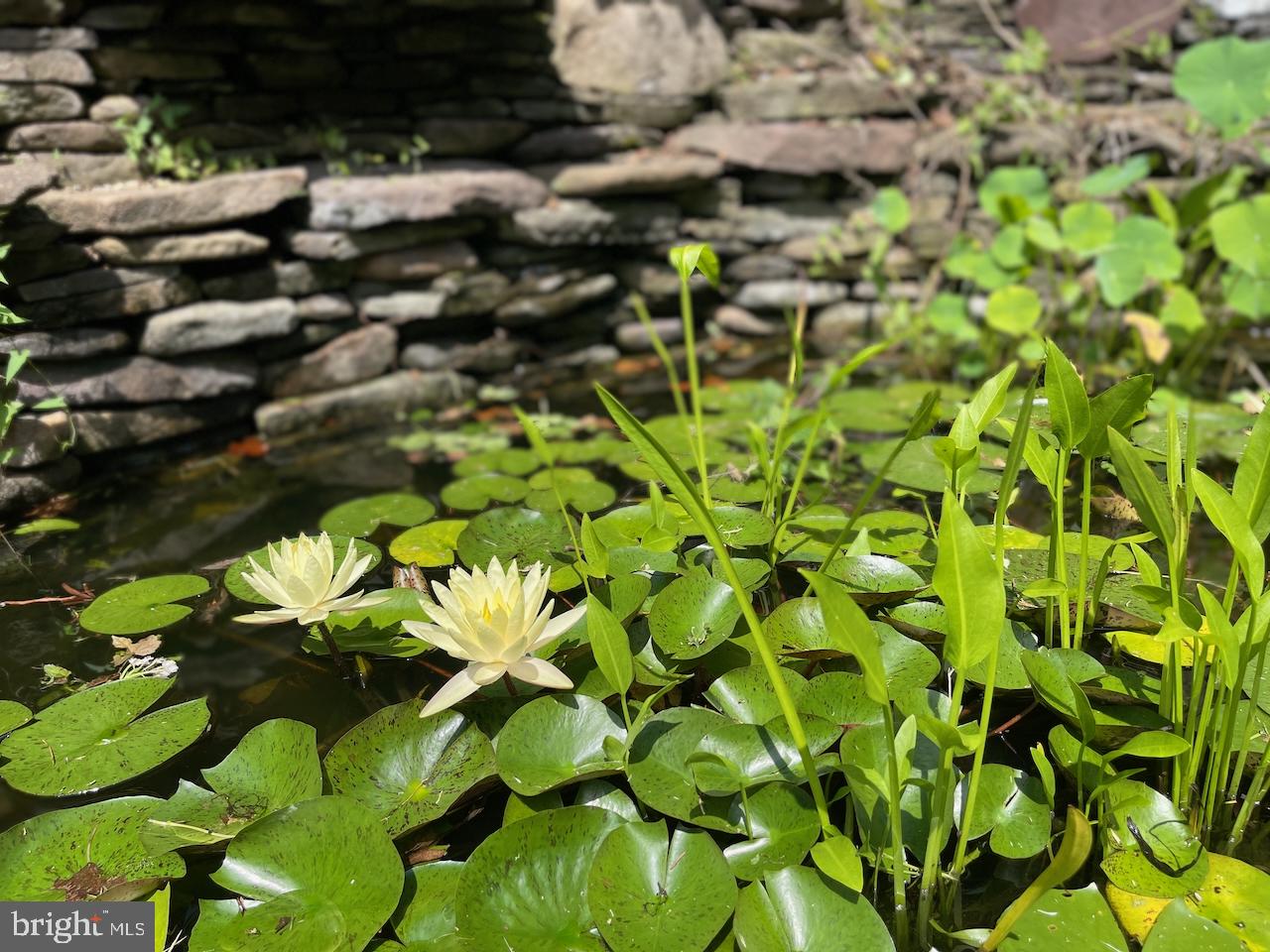 9701 CONNECTICUT AVENUE