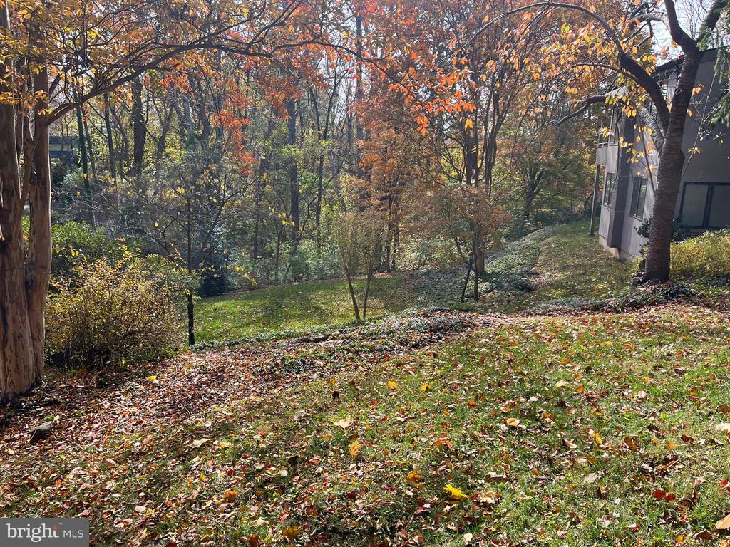 5651 BENT BRANCH ROAD