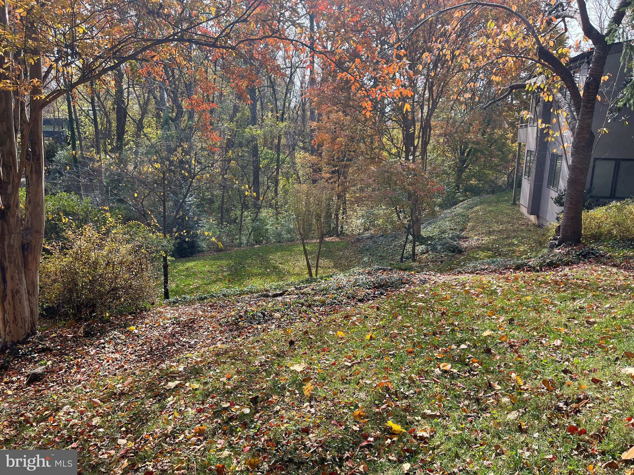 5651 BENT BRANCH ROAD