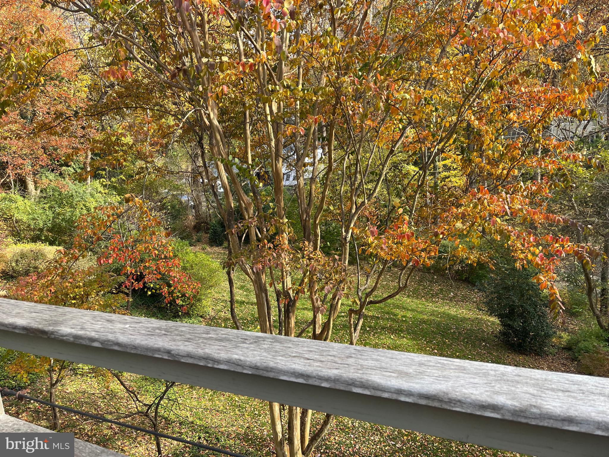 5651 BENT BRANCH ROAD