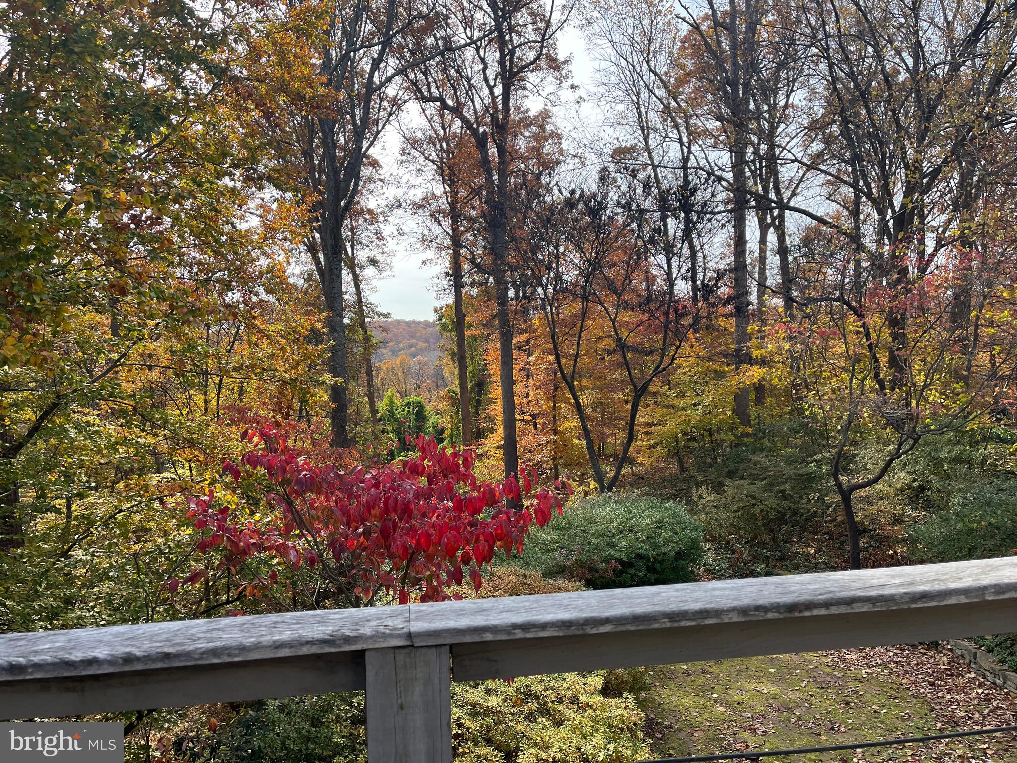 5651 BENT BRANCH ROAD