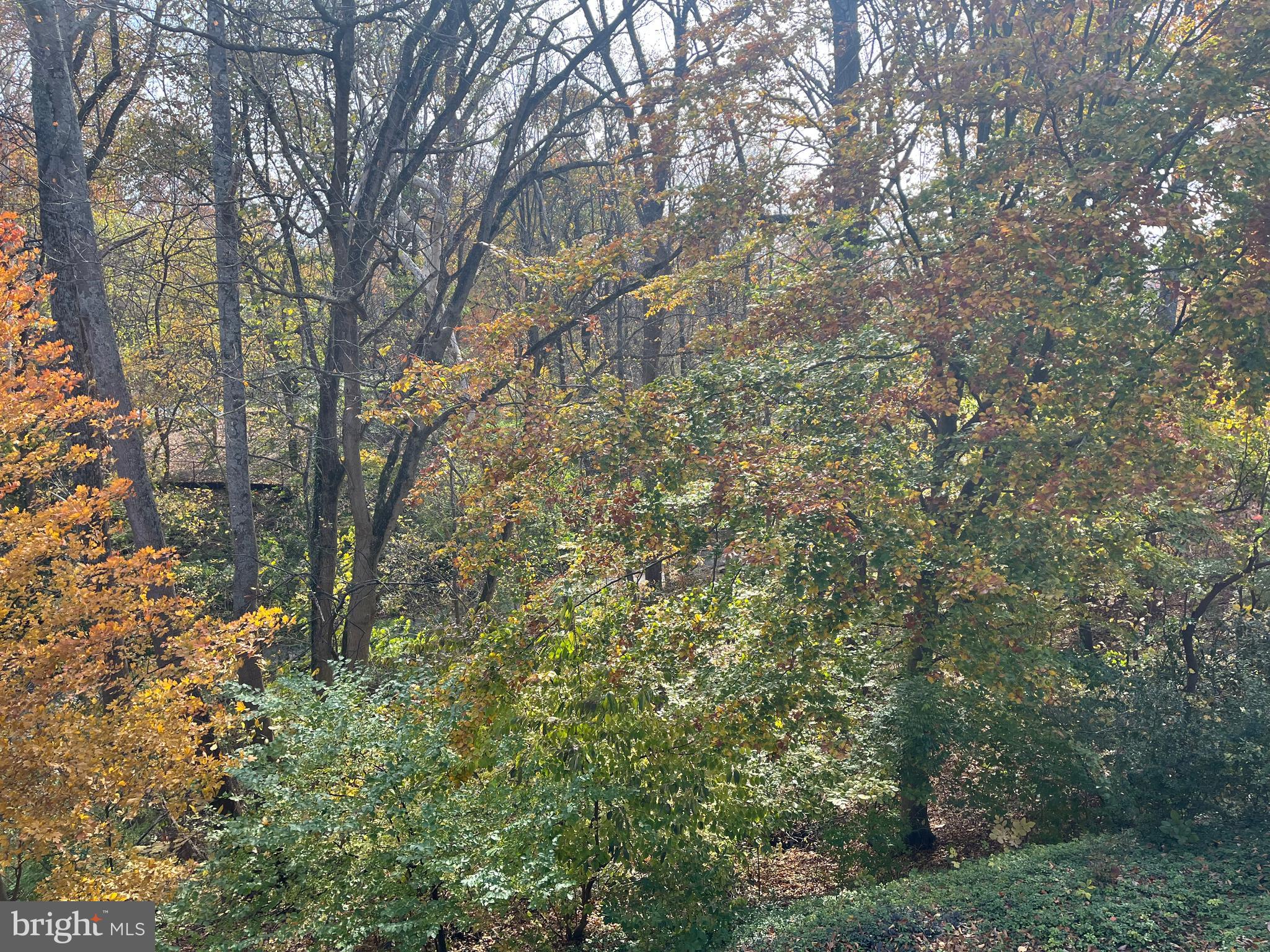 5651 BENT BRANCH ROAD