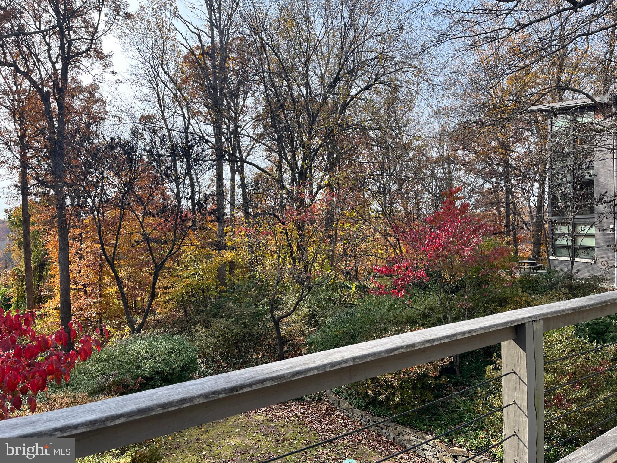 5651 BENT BRANCH ROAD