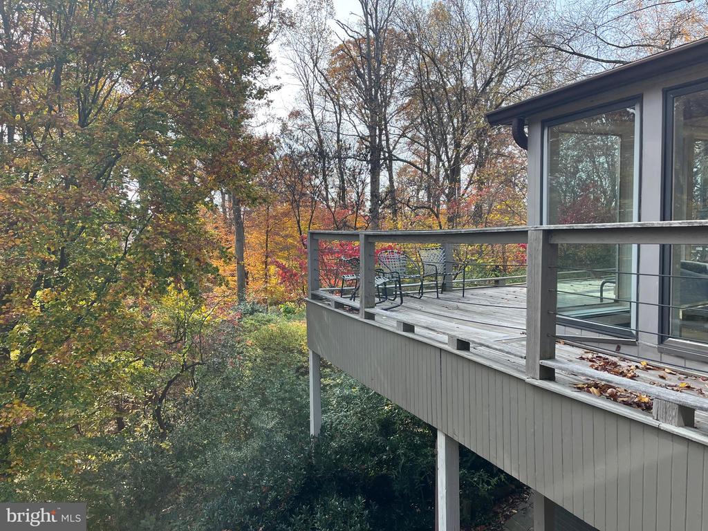 5651 BENT BRANCH ROAD
