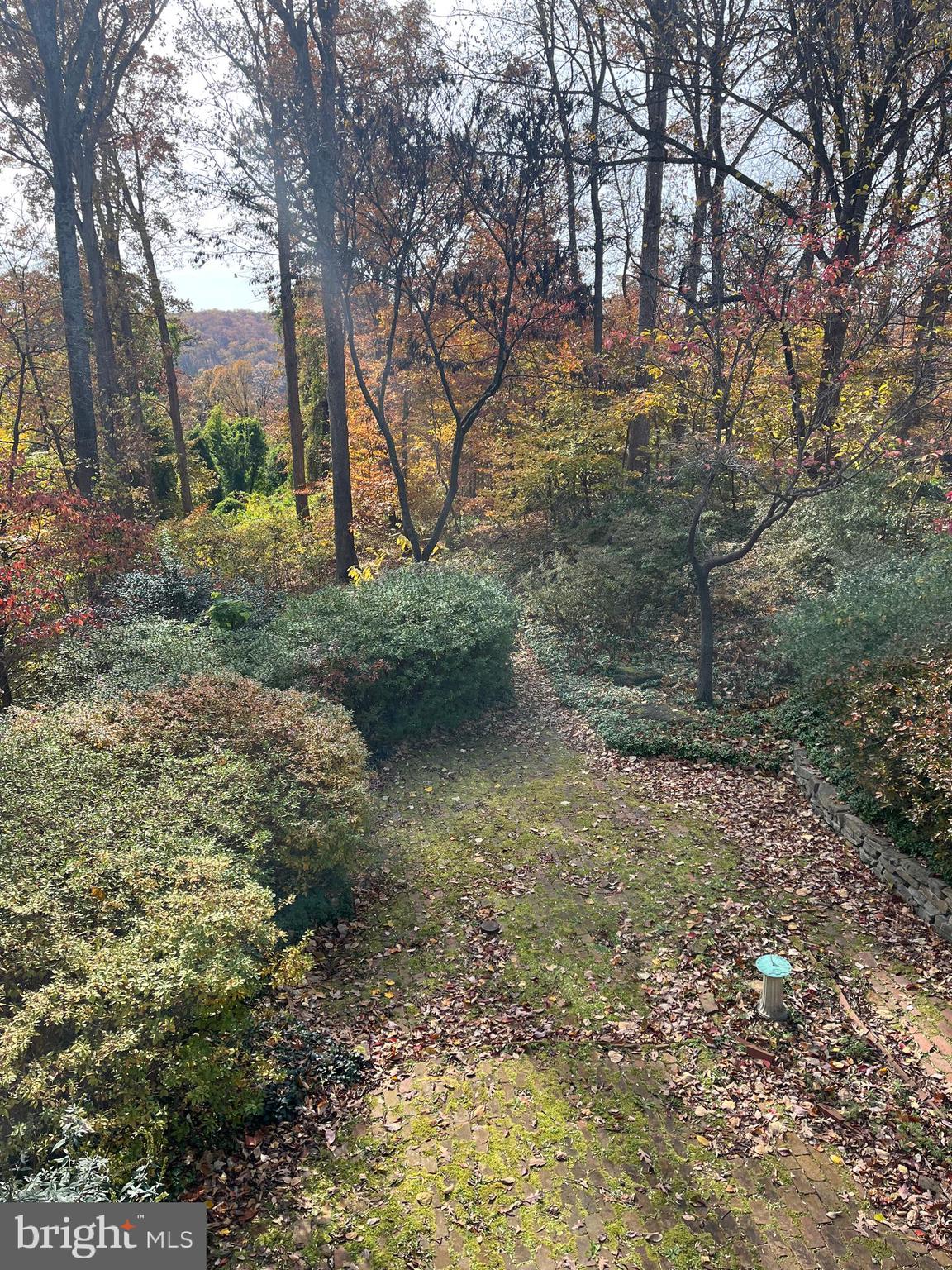 5651 BENT BRANCH ROAD