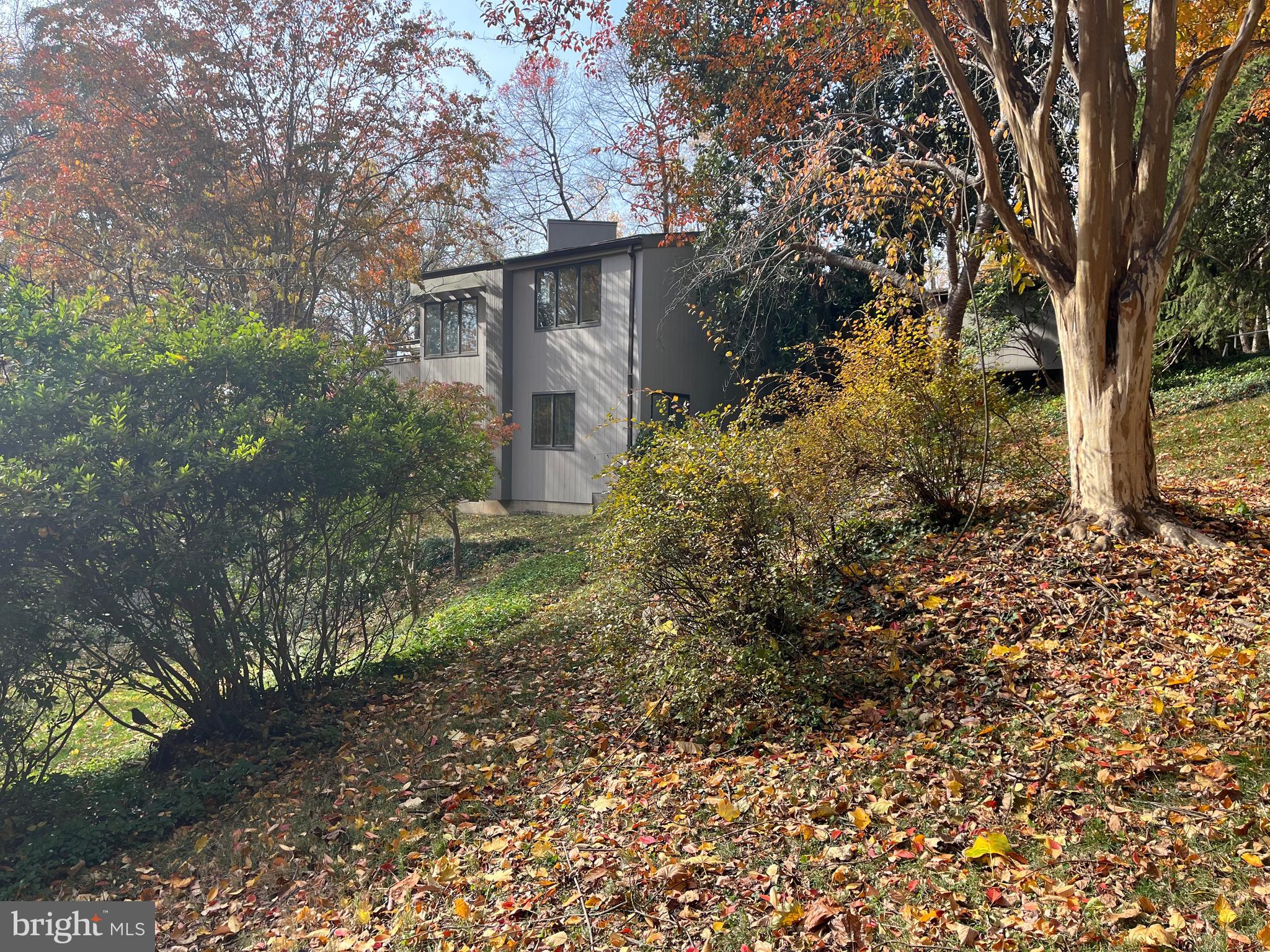 5651 BENT BRANCH ROAD