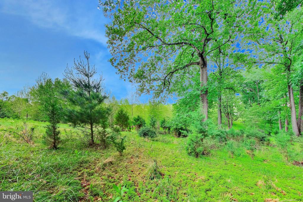 13513 MOONLIGHT TRAIL DRIVE