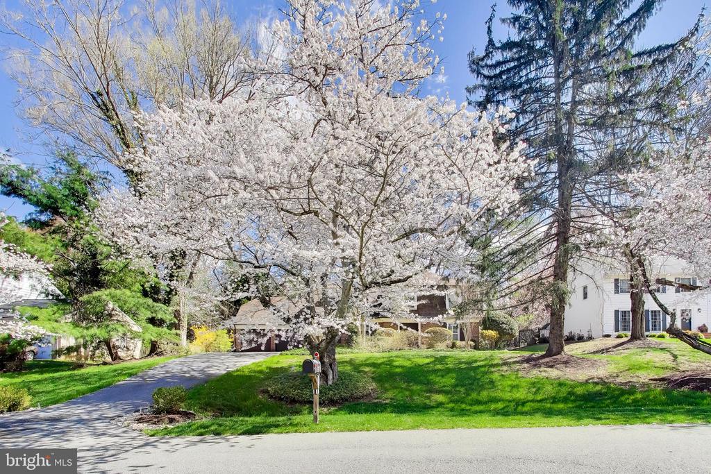 9617 FALLS BRIDGE LANE