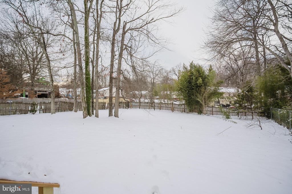 12411 Proxmire Dr