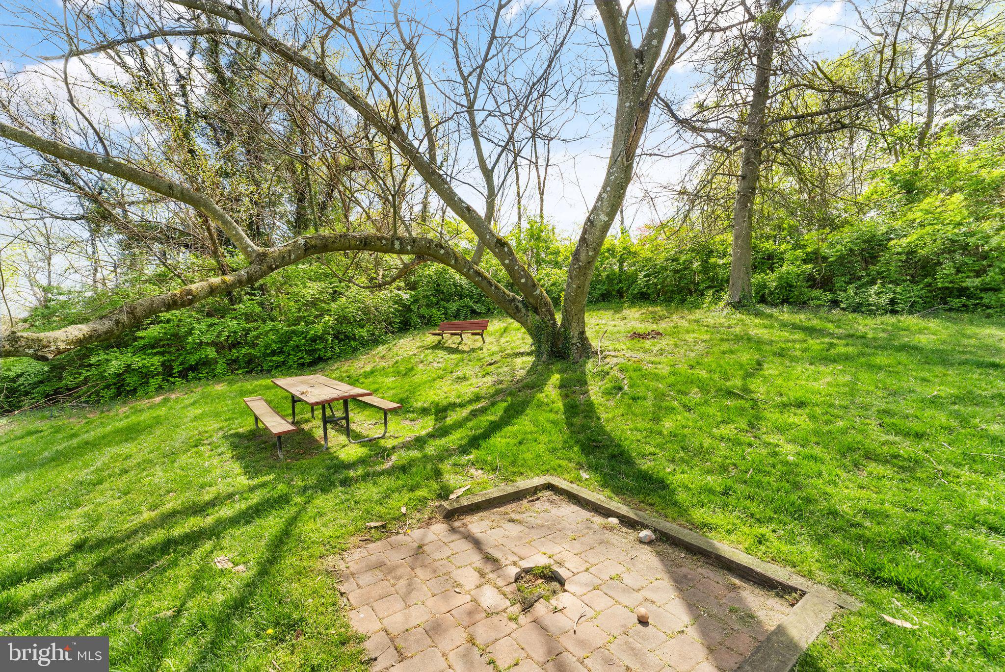 49 Skyhill Rd #204