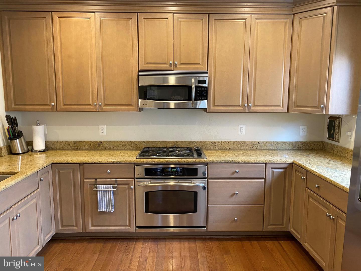 1828 POTOMAC GREENS DRIVE