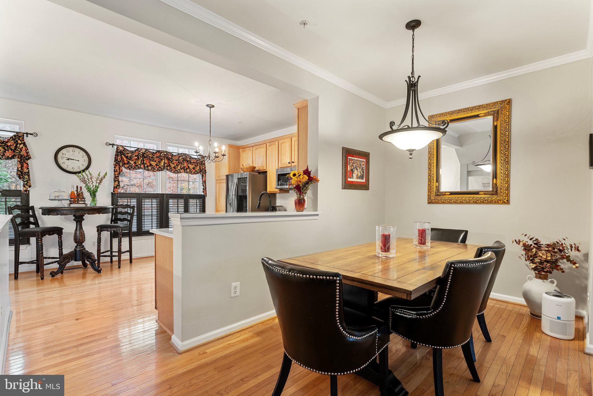 9151 Silvershadow Ct