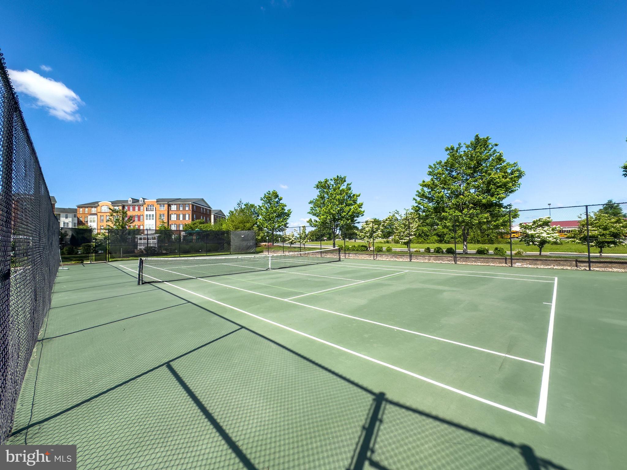 23559 Waterford Downs Ter