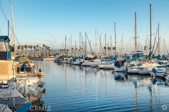 1529 Steinhart Avenue