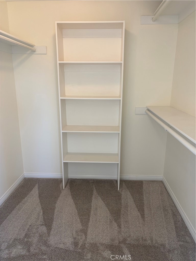 Walk-in closet with built-in white shelves, side-wall hanging rods, and gray carpet.