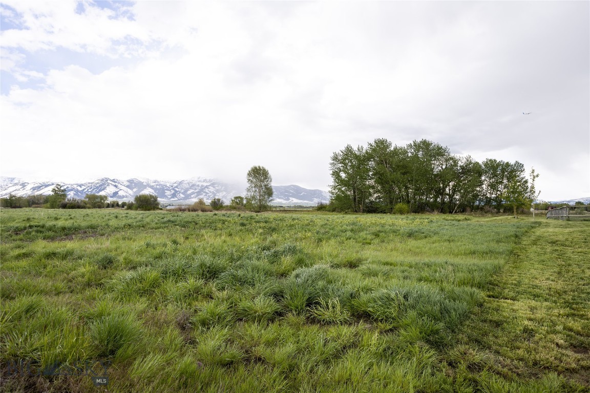 TBD E Riparian Way