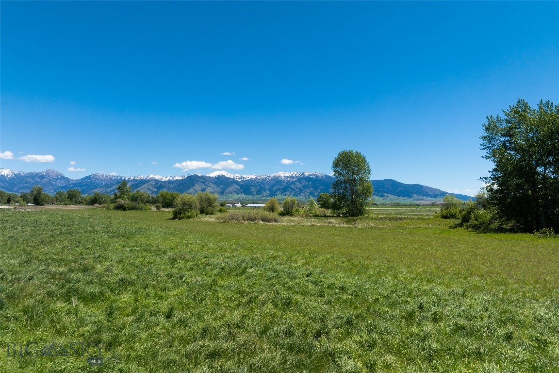 TBD E Riparian Way