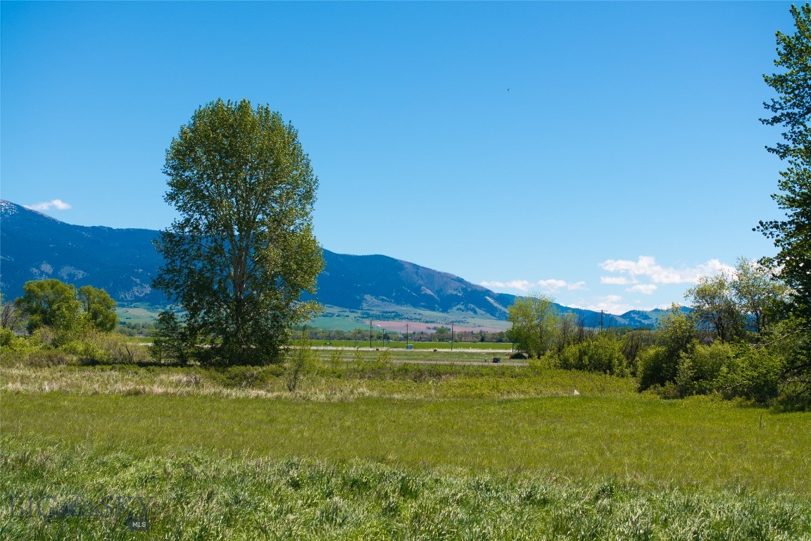 TBD E Riparian Way