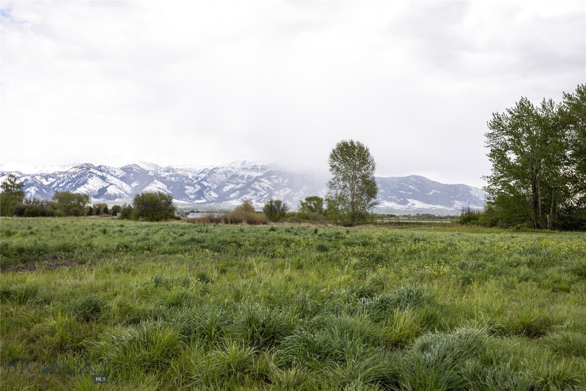 TBD E Riparian Way