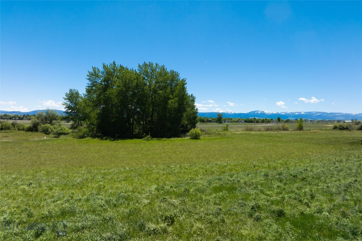 TBD E Riparian Way