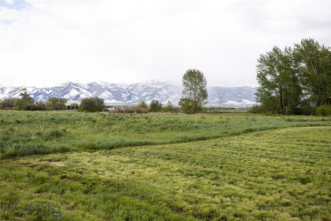 TBD E Riparian Way