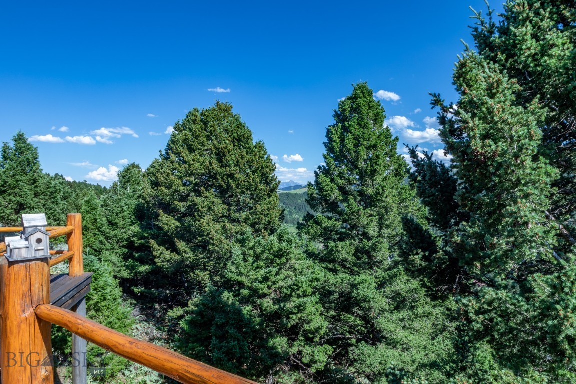 1062 Johnny Martinez Trail