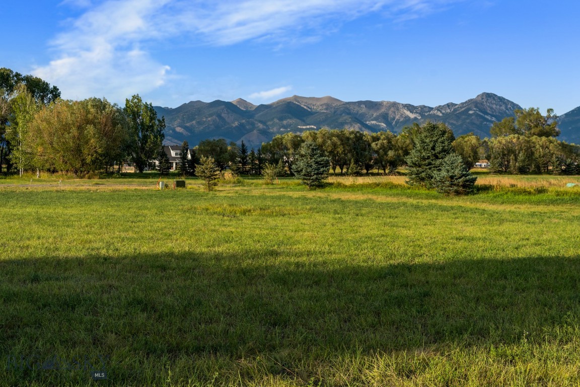223 Poppy Field Drive