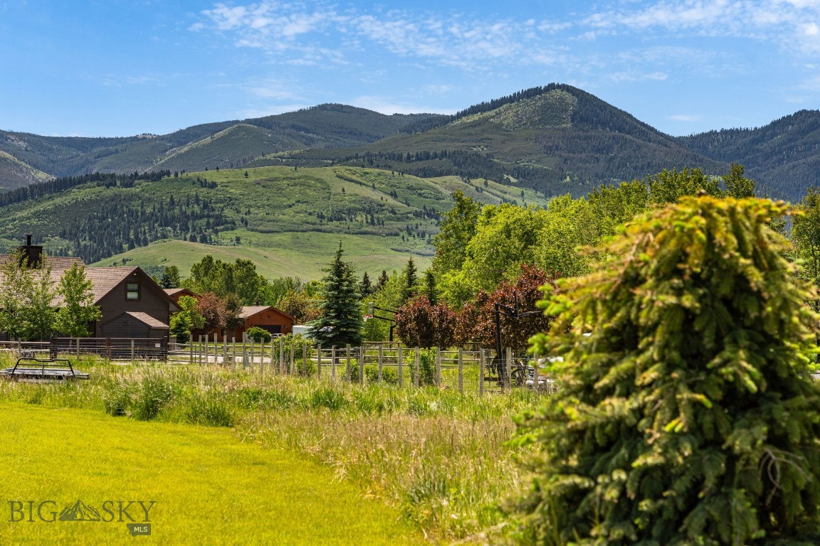 37 Cinnamon Bear Court